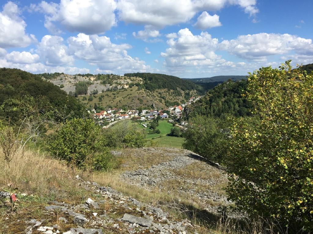 Haus "Am Muehlheimer Berg" Mörnsheim Exteriör bild